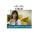 con-snt-ie30008 service type cisco name manufacturer